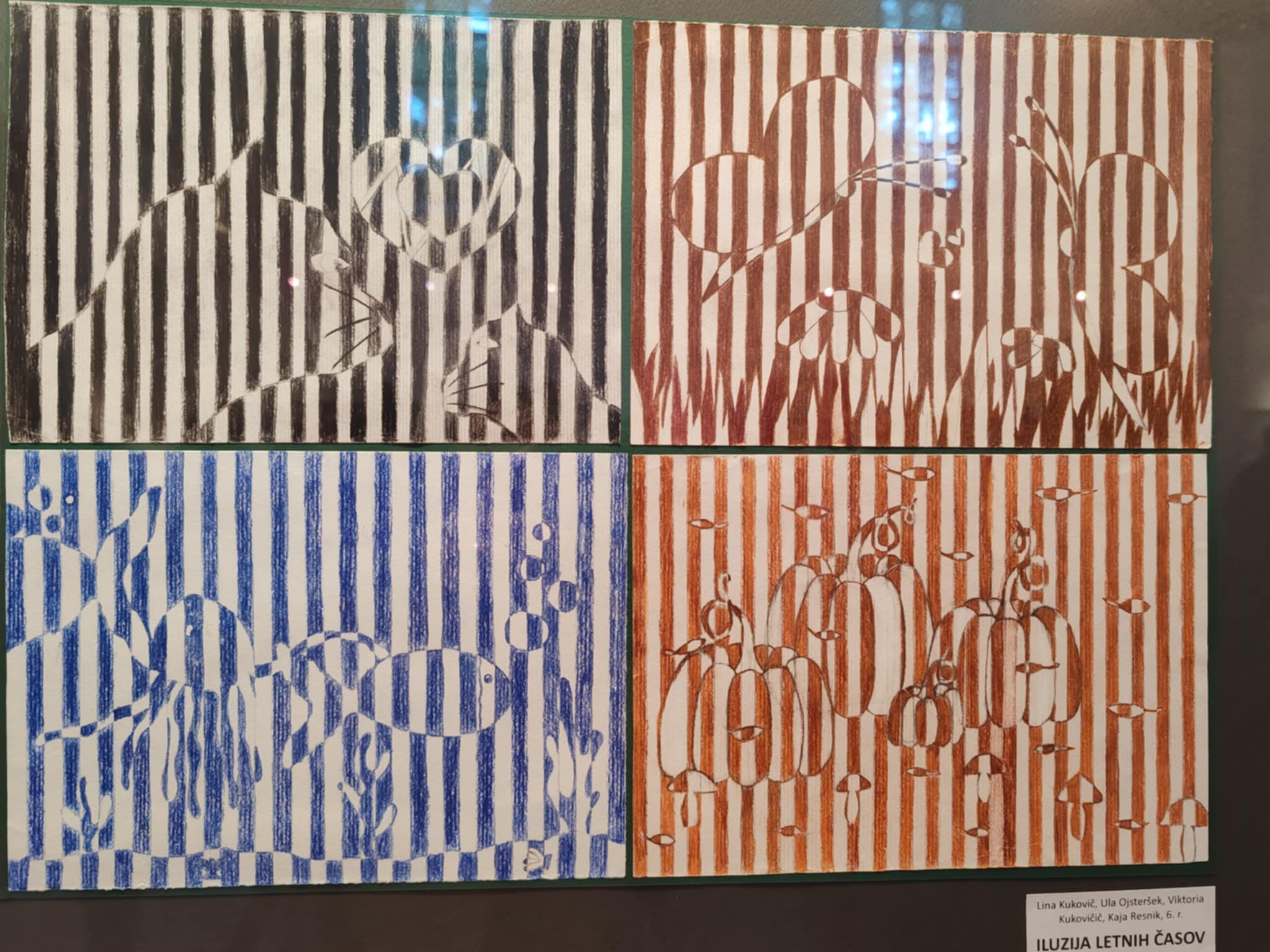 497702658_122156142488541660_7349937024335666396_n